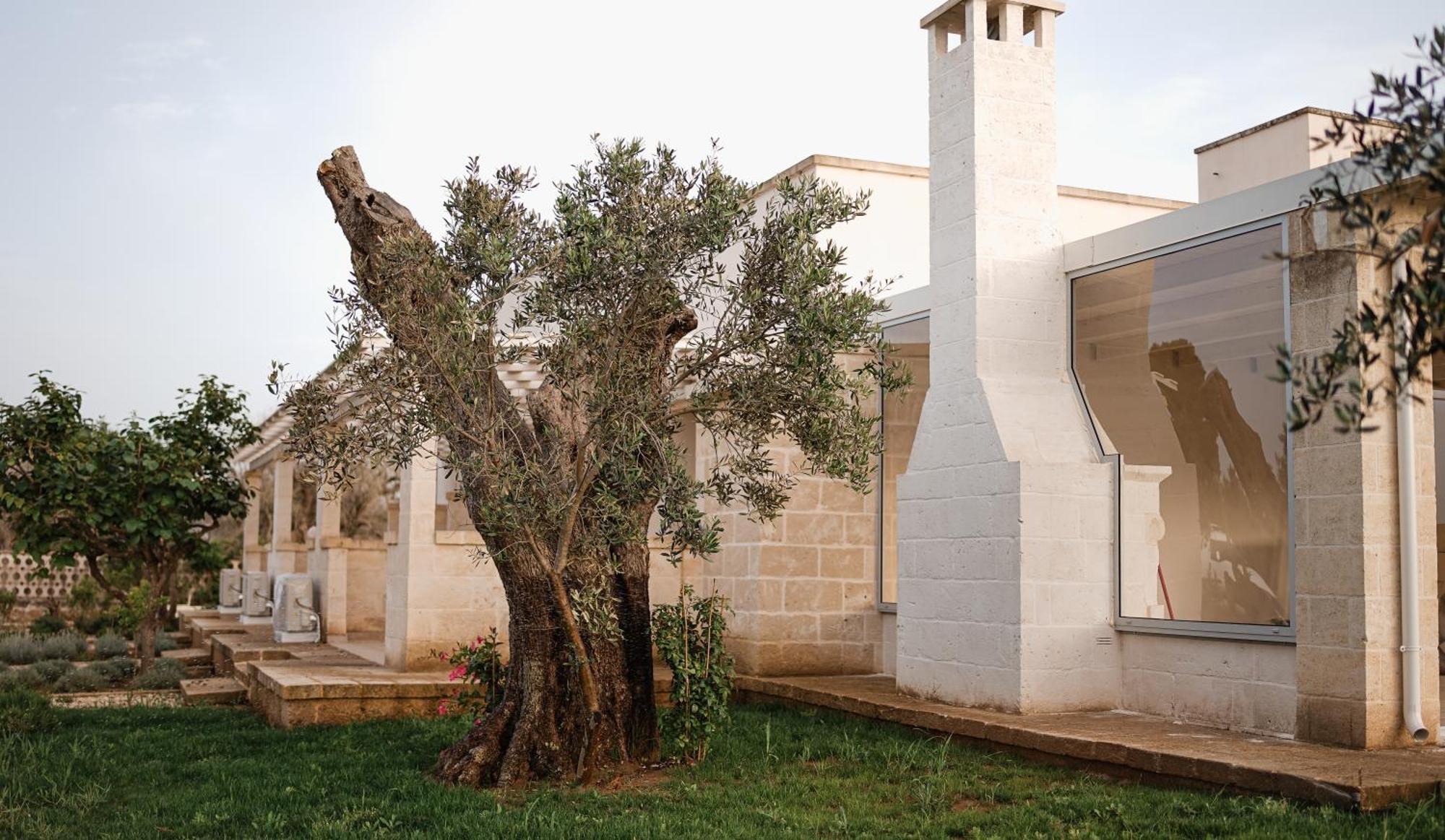 San Lorenzo Camere&Suites Lizzanello Zewnętrze zdjęcie